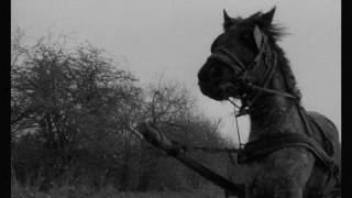 The Turin Horse Trailer