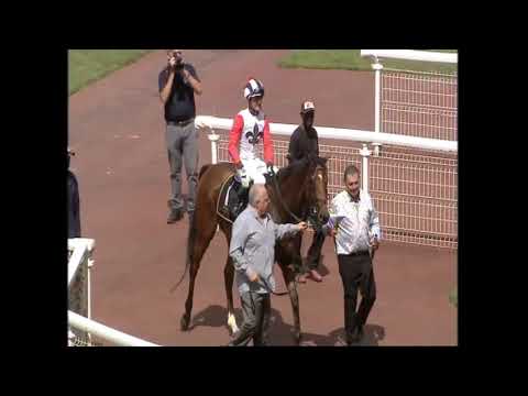 Hero's Honour Turffontein 12 January 2019