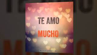 Almas gemelas los tucanes de tijuana