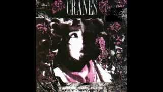 CRANES - Focus Breathe