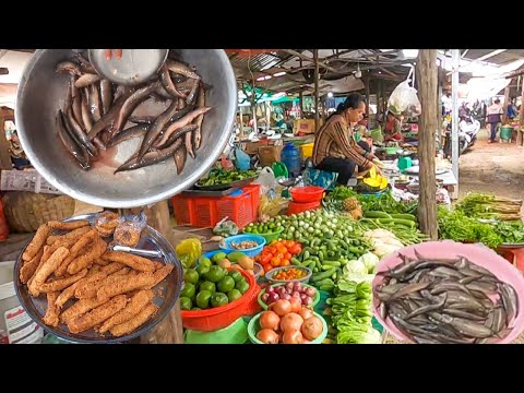The Biggest Site Distribution Fish  Market in Phnom Penh City | Amazing Cambodia Wet Market Scene
