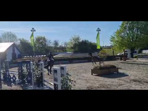 youtube preview