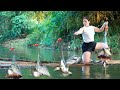 30 Days Alone In The Jungle Surviving With Nets Homemade Fish Traps From Wood Full Video