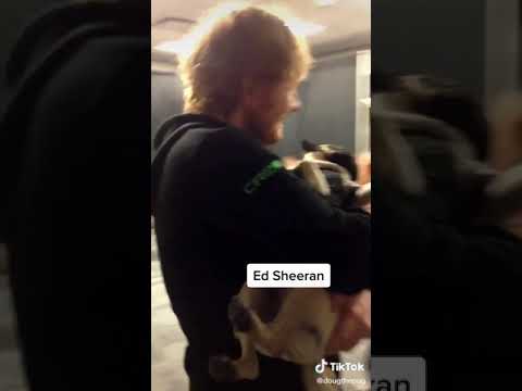 Comment who's your favorite celebrity that Doug the pug is with and this video