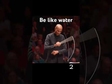 Float like a butterfly, sting like a bee #conductor #classicalmusic #orchestra #symphony #music