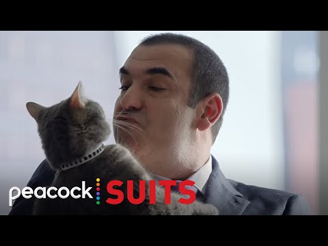 Louis Litt Goes to War Over a Cat 🐱 | Suits