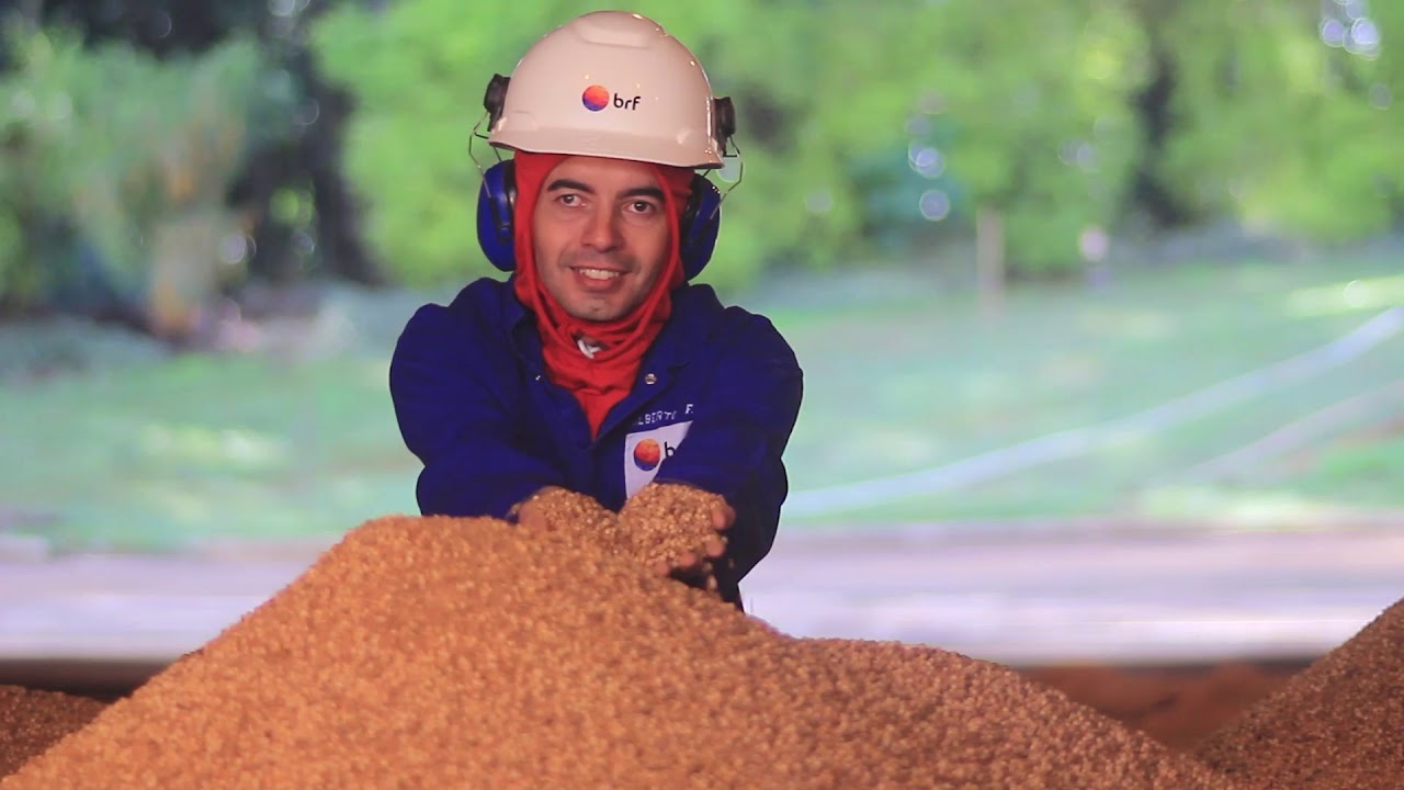 VT - Institucional BRF - Fábrica Dois Vizinhos - Paraná