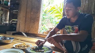 Download lagu Today, My Chickens Hatchled 12 Chicks, Morning Activities Before Going to the Garden mp3