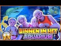 DiT GEBEURT ER ALS JE DOOR HET AQUARiUM HEEN KAN ? | Bellinga Vlog #2757