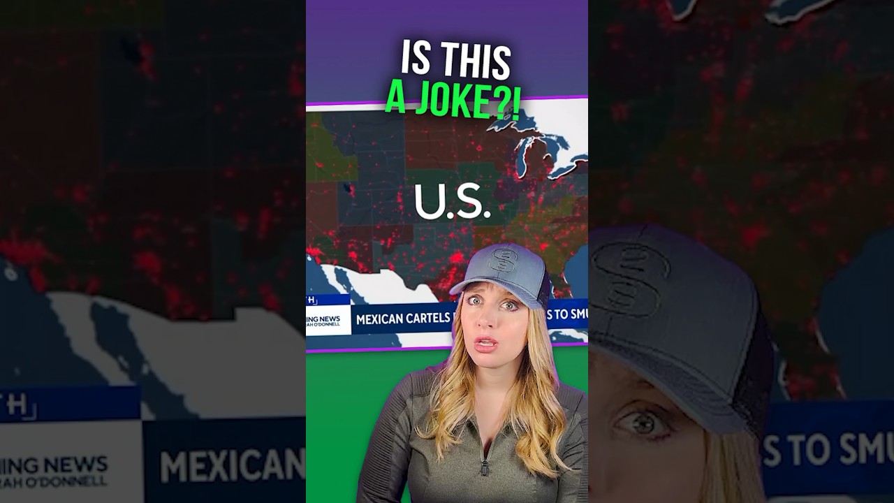 The ATF did WHAT?!… #shortsvideo #shortsfeed #shorts