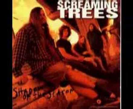 Screaming Trees - Dollar Bill