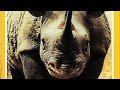 Opening Closing To The Rhino War 1988 VHS