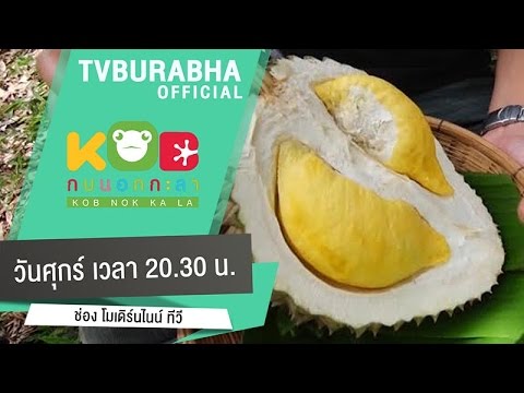 ยาโป๊สำหรับสตรีหลัง 50 สูญเสียความแรง 28 ปี