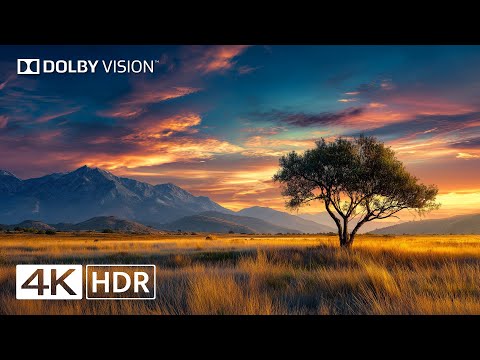 The Most Realistic Nature in 4K HDR | Dolby Vision Compatible