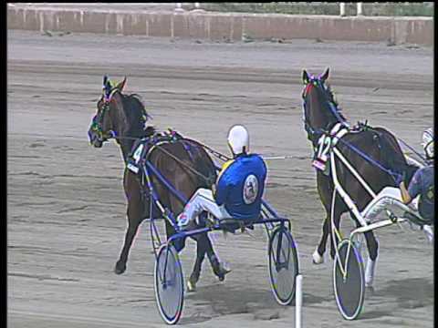 Trotto 12/05/2017 - 3ª corsa