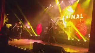 A.N.I.M.A.L En Teatro Flores  "Dejar de ser"