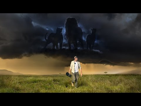 APRES LE DELUGE - Au Royaume des félins