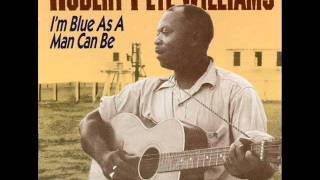 I'm Blue As a Man Can Be -  Robert Pete Williams