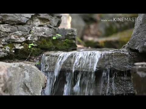 A mâncat din blidele îngerilor. Experiența unui tată cu 16 copii.  Merită  ascultat până la sfârșit.