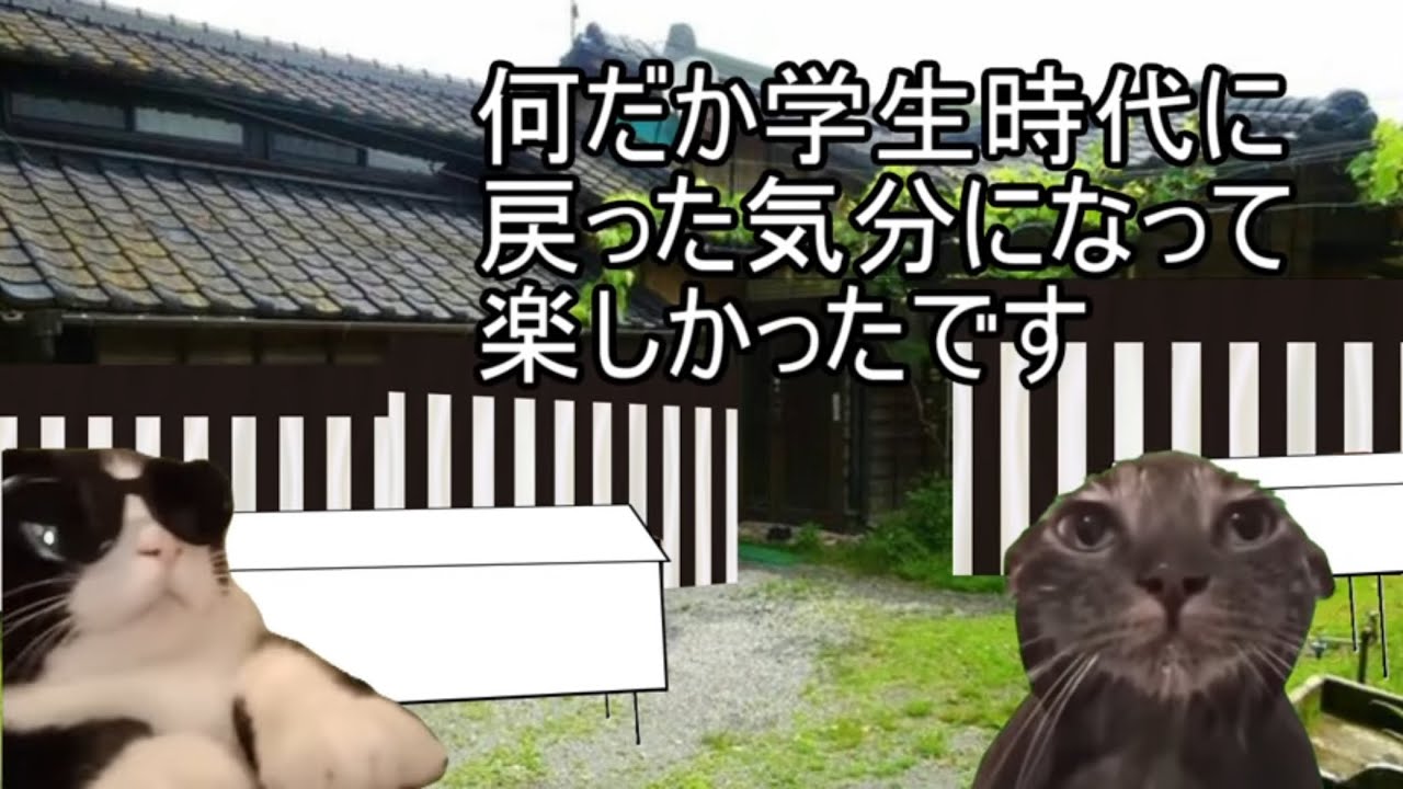 【猫ミーム】昔の葬儀社はこうだった？！20代の頃の先輩の話＃78