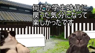 【猫ミーム】昔の葬儀社はこうだった？！20代の頃の先輩の話＃78