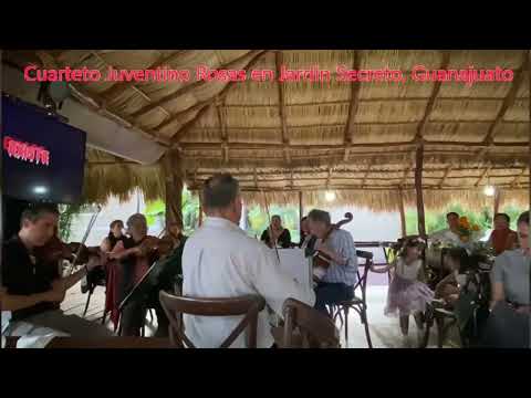 Camino de Guanajuato - Cuarteto Juventino Rosas (Salón Jardín Secreto)