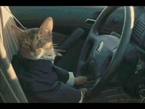 Face The West - Seonaidh The Water Spirit