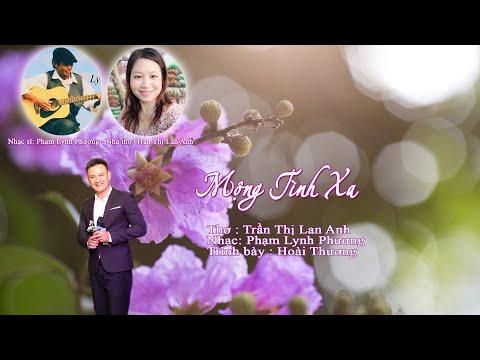 Mộng tình xa - Đình Hội