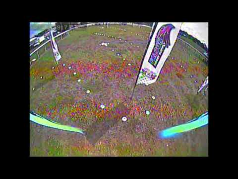 Hyphyite Falcon Roost at Montgomery County Fair