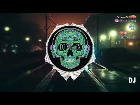 DJ XeoniX mashup Ready Da Professsor vs Audio Bastardz - And Reverse