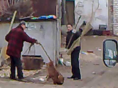 Боже! Убей их, так же как они убивали!