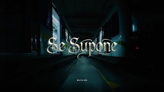 SE SUPONE Lyrics English Translation