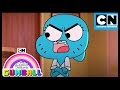 Nicole's Best Moments! | Gumball Compilation | Cartoon Network