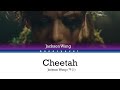 Jackson, Cheetah, Lyrics