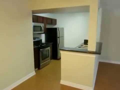 PL3174 - Modern 1 Bed + 1 Bath Apartment For Rent in the Hollywood Hills.