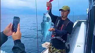 【生配信切り抜き】幻の高級魚『ツチホゼリ』を捌いて食べたら衝撃の旨さだった！」