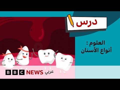 فيديو | ما الذي نعرفه عن الأسنان؟ | درس العلوم - الحلقة 12