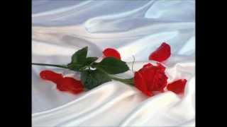 Me voy de ti - Bronco