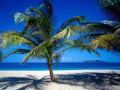 dj NSR RELAX-(Unknown Treasure) 