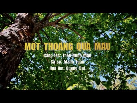 Một thoáng qua mau - Mạnh Tuấn