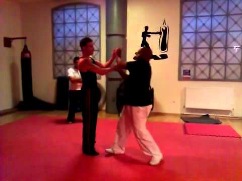 Andy & don sparring wing Chun freestyle