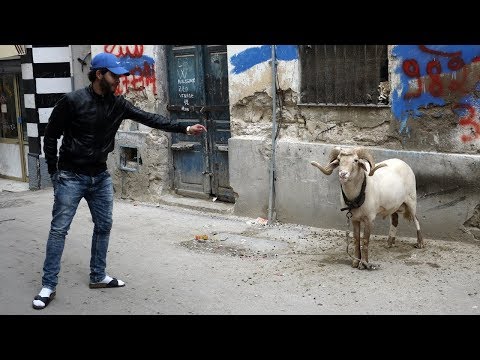lifetravel TUNÍSIA 3 ● Tunis- Habib Bourguiba ●
