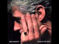 Peter Hammill - Nothing Comes