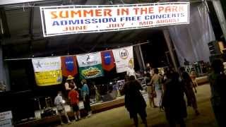 Brave Combo at Summer in the Park 2014 - WP 20140731 21 38 06 Pro