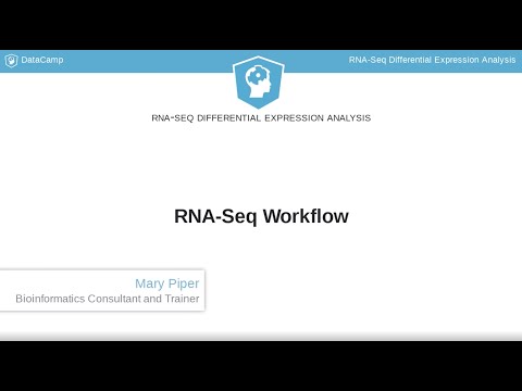 R Tutorial : RNA-Seq Workflow