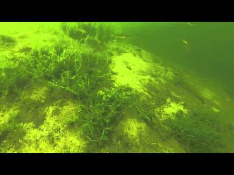 Unisee Bremen, Unisee,Bremen,Deutschland