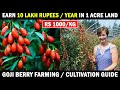 Goji berry Farming / Goji berries Cultivation