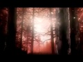 Youth Group - Shadowland - Álbum: Skeleton Jar (2003)
