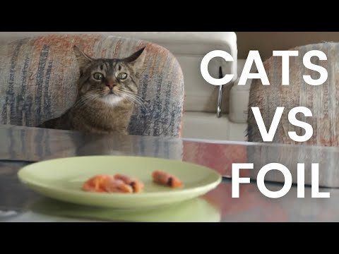 Cats vs Tin Foil - What will keep cats off the table?