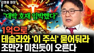 "대박 호재 임박했다" 1억으로 테슬라와 '이 주식' 묻어둬라. 조만간 미친듯이 오르고 부자된다 (김여…
